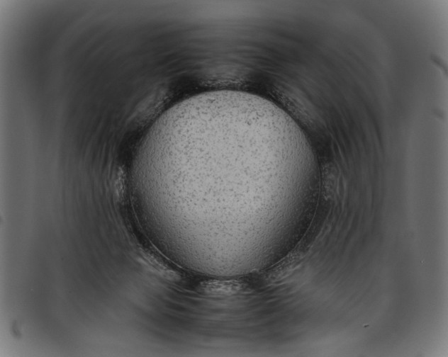 X0000097880077200803281233