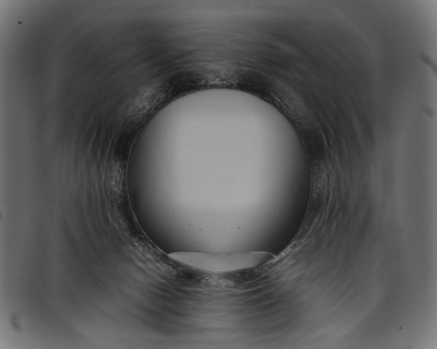 X0000097880078200803281233