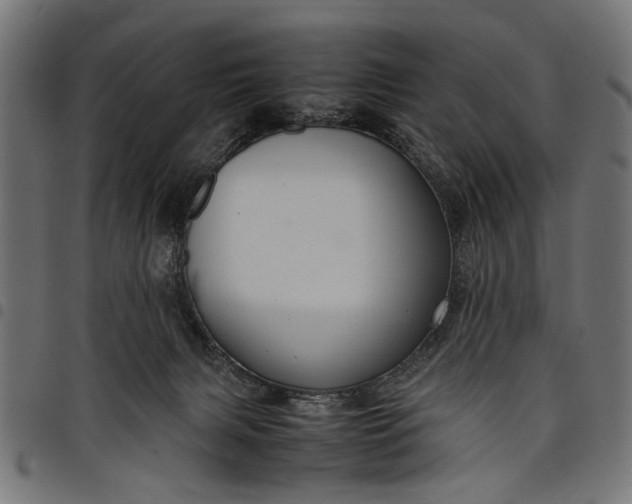 X0000097880079200803281233