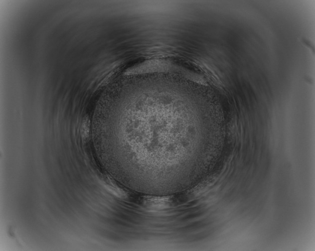 X0000097880081200803281233