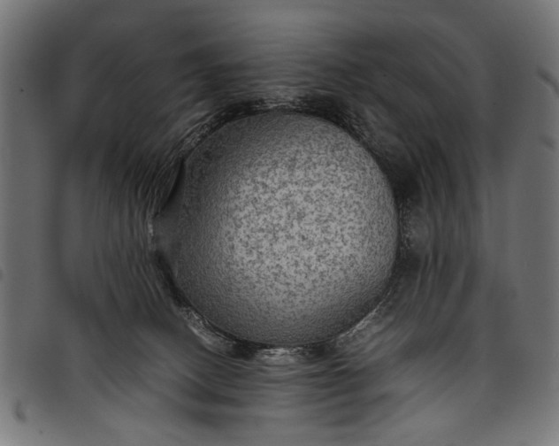 X0000097880082200803281233