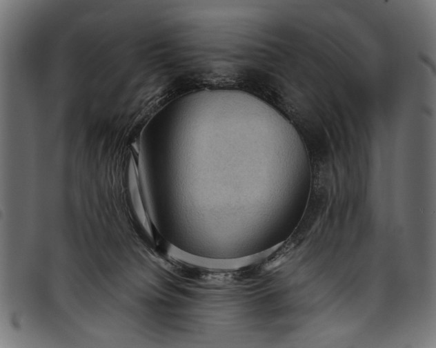 X0000097880084200803281233