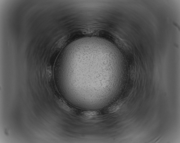 X0000097880085200803281233