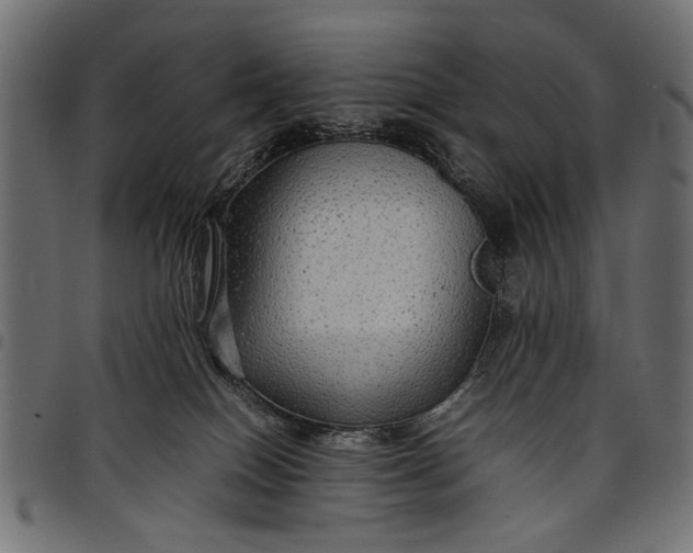 X0000097880086200803281233