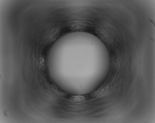 X0000097880087200803281233