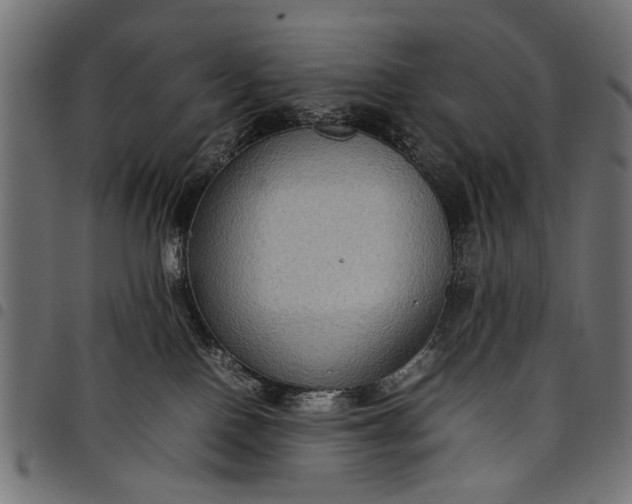 X0000097880090200803281233