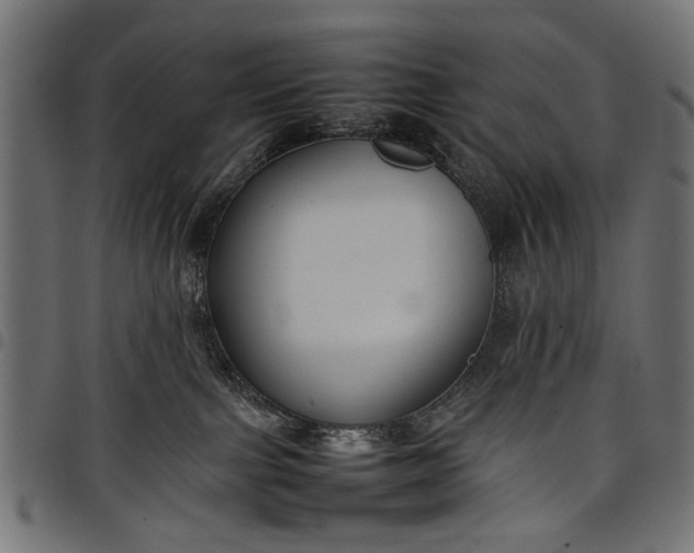 X0000097880091200803281233