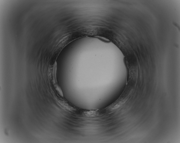 X0000097880092200803281233