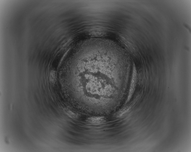 X0000097880093200803281233