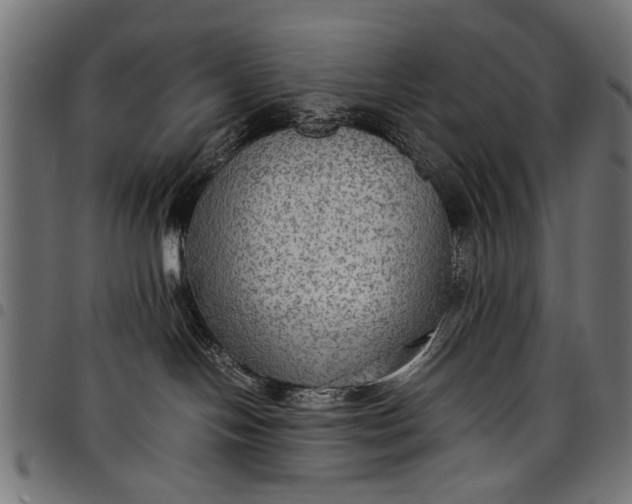 X0000097880094200803281233