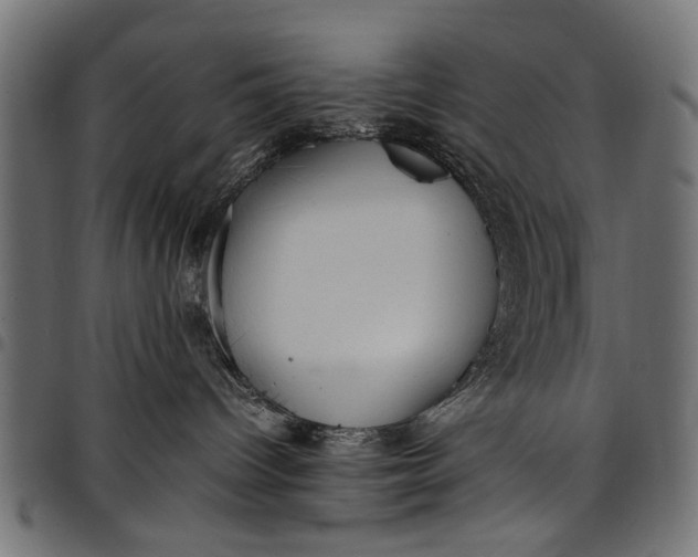 X0000097880096200803281233