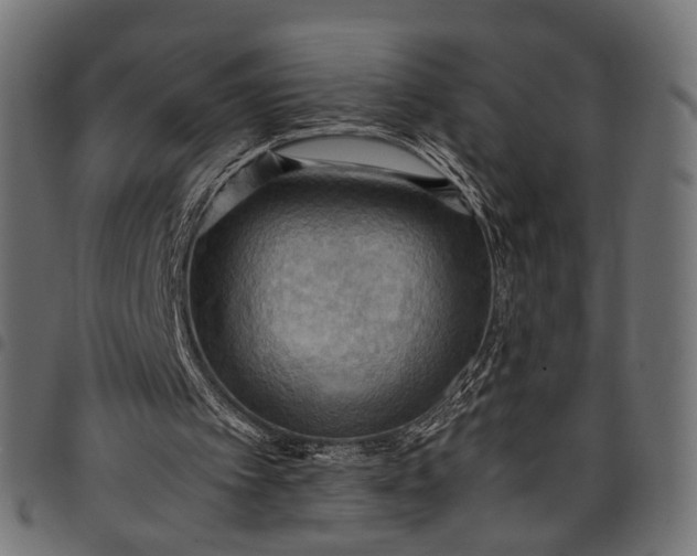 X0000097880097200803281232