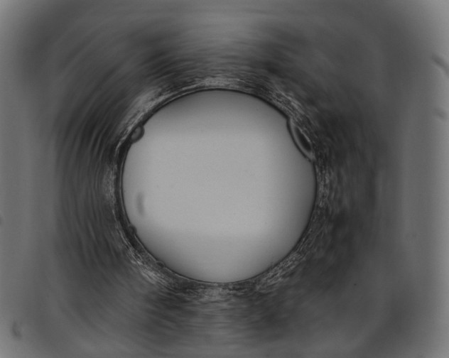 X0000097880098200803281232