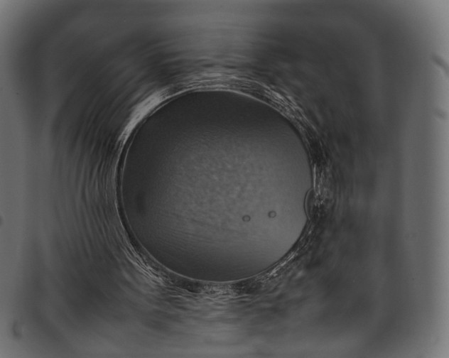 X0000097880099200803281232