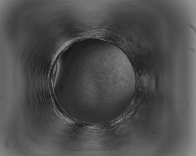 X0000097880100200803281232