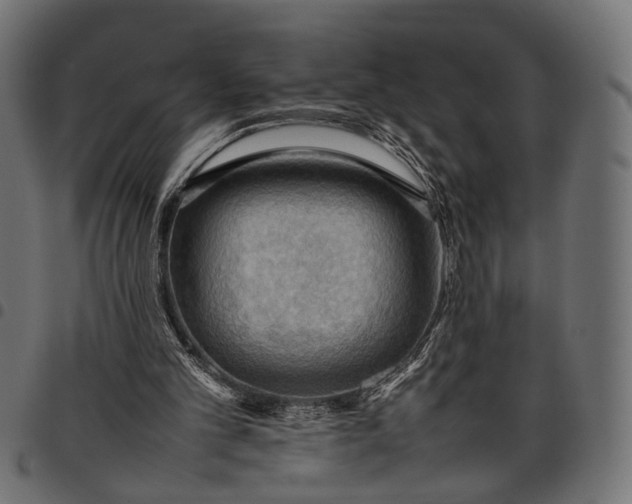 X0000097880101200803281232