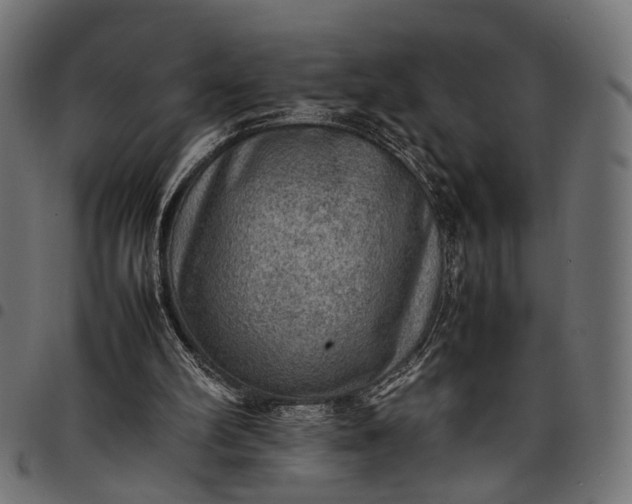 X0000097880102200803281232