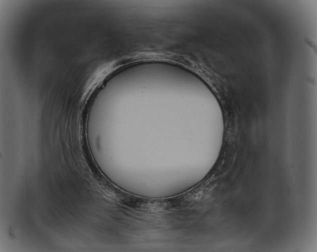 X0000097880103200803281232