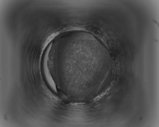 X0000097880104200803281232