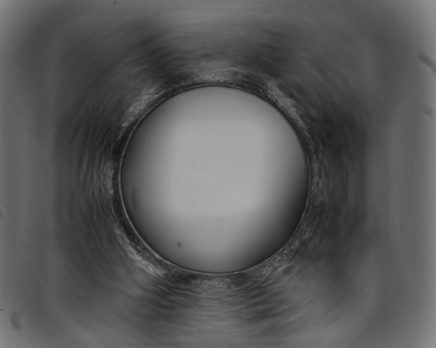 X0000097880106200803281232