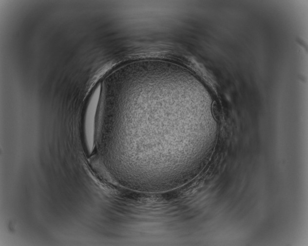 X0000097880107200803281232