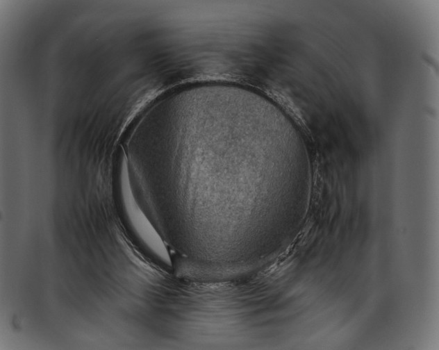 X0000097880108200803281232