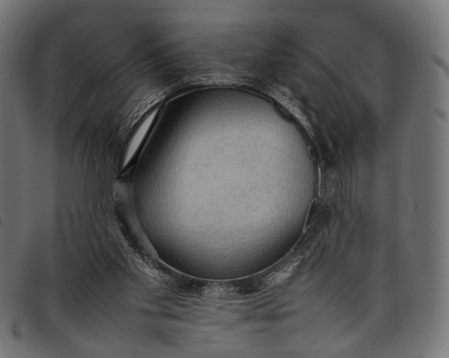 X0000097880109200803281232