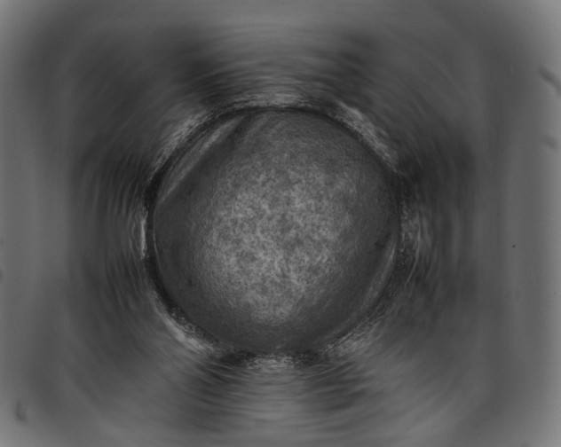 X0000097880110200803281232