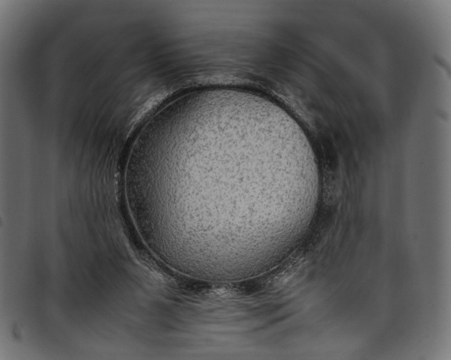 X0000097880111200803281232