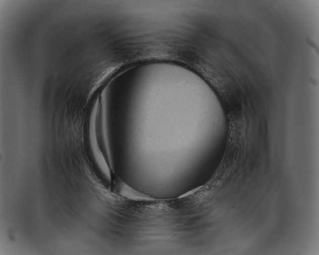 X0000097880112200803281232