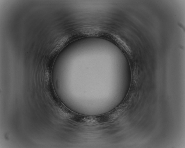 X0000097880113200803281232