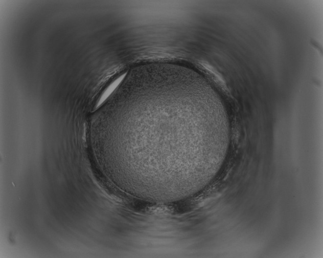 X0000097880115200803281232