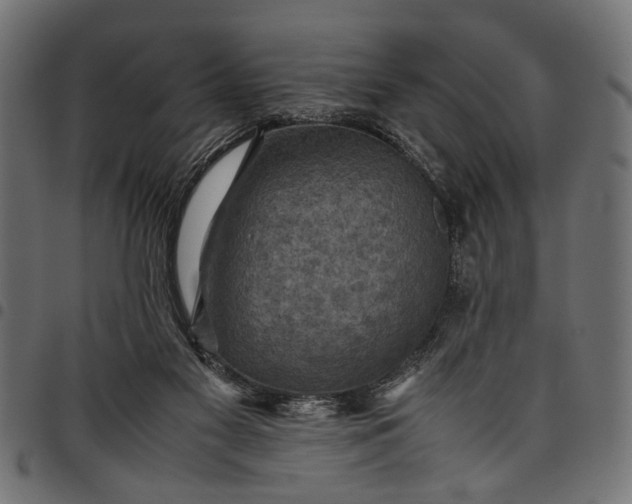 X0000097880117200803281232