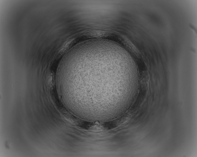 X0000097880119200803281232