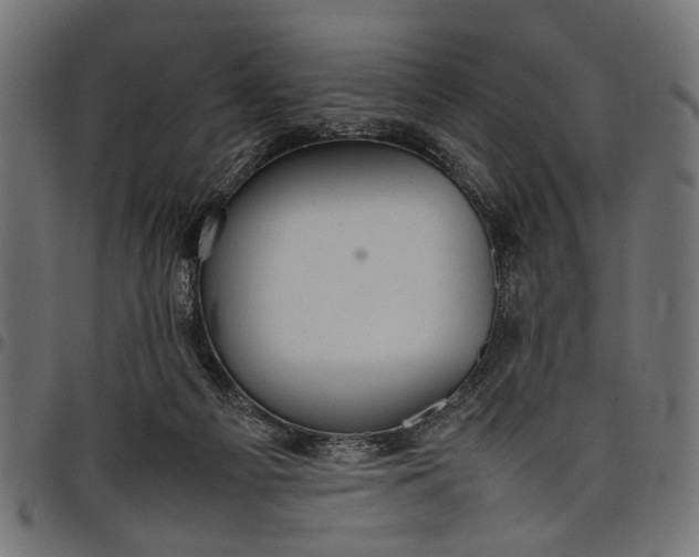 X0000097880121200803281232