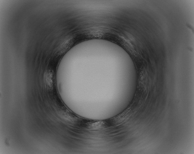 X0000097880122200803281232