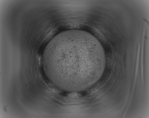 X0000097880123200803281232