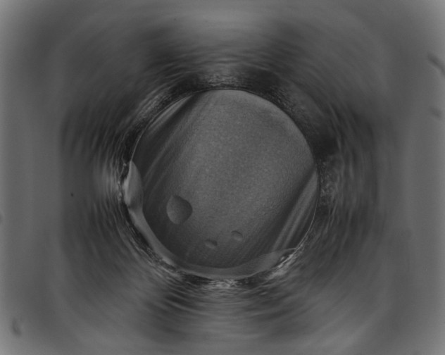 X0000097880124200803281232