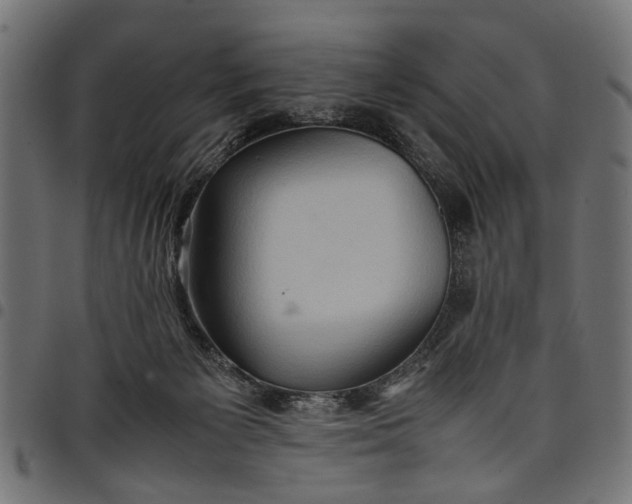 X0000097880125200803281232