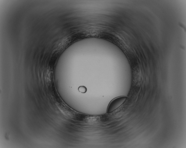 X0000097880126200803281232