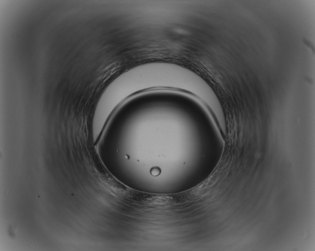 X0000097880128200803281232