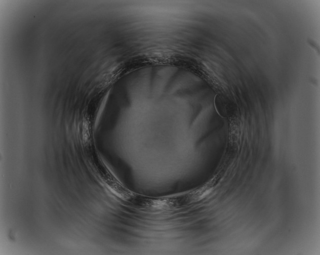 X0000097880130200803281232