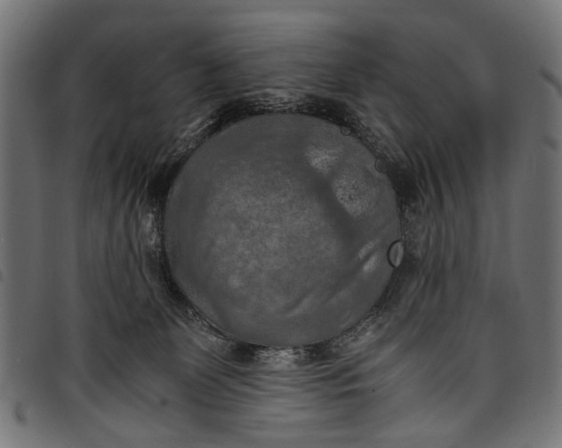 X0000097880131200803281232