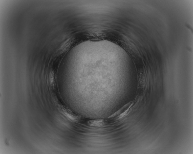 X0000097880132200803281232