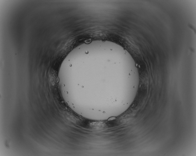 X0000097880133200803281232