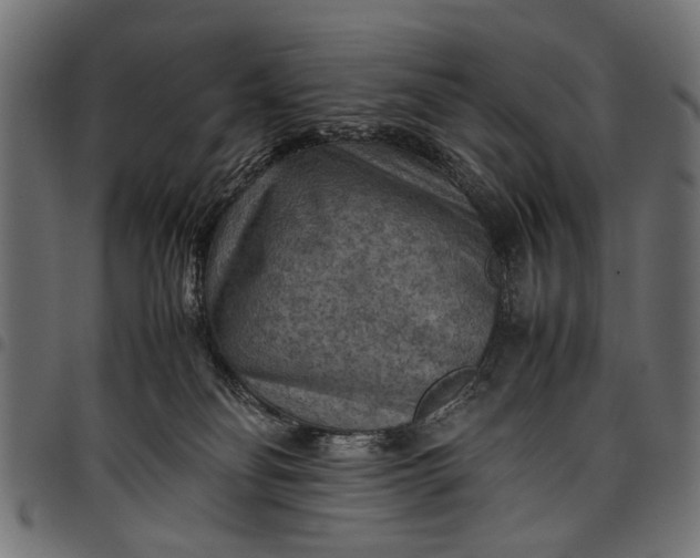 X0000097880134200803281232