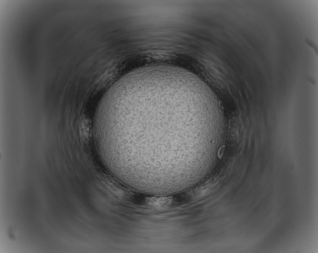 X0000097880135200803281232