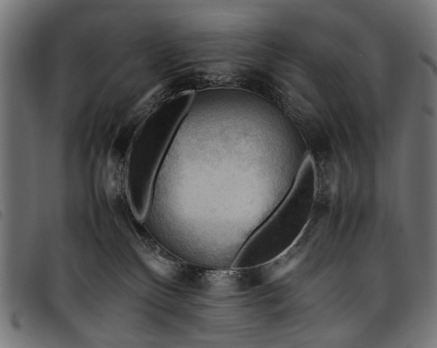 X0000097880136200803281232