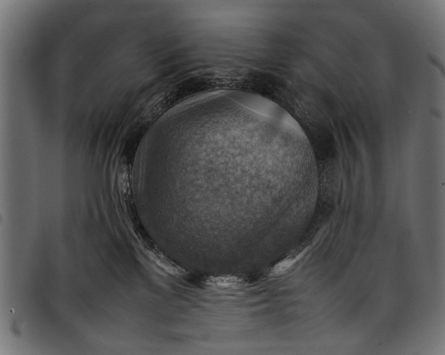 X0000097880137200803281232