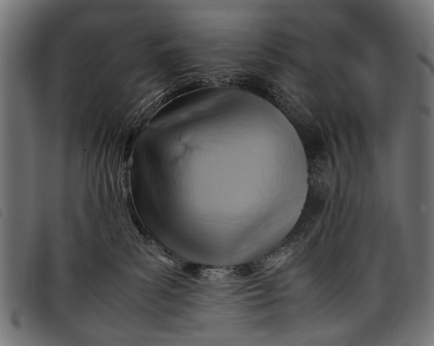 X0000097880139200803281232